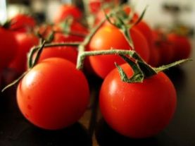 Photo credit: ehow.com