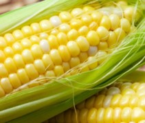 Photo credit: JamesBeard.org