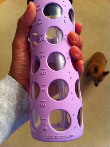 My dog clearly wanted in on the photo shoot