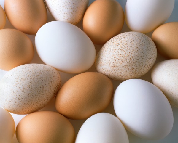 2013-06-19-BROWNWHITEEGG_original