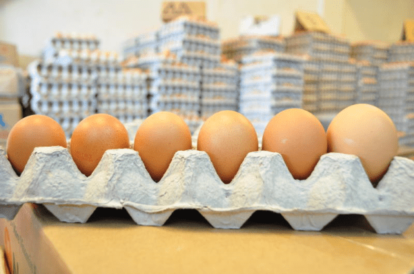 file6hs4526l2eqen271bll