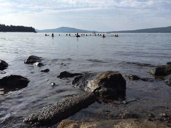 The elites in the water, inching toward the first buoy as they prepare to take off.